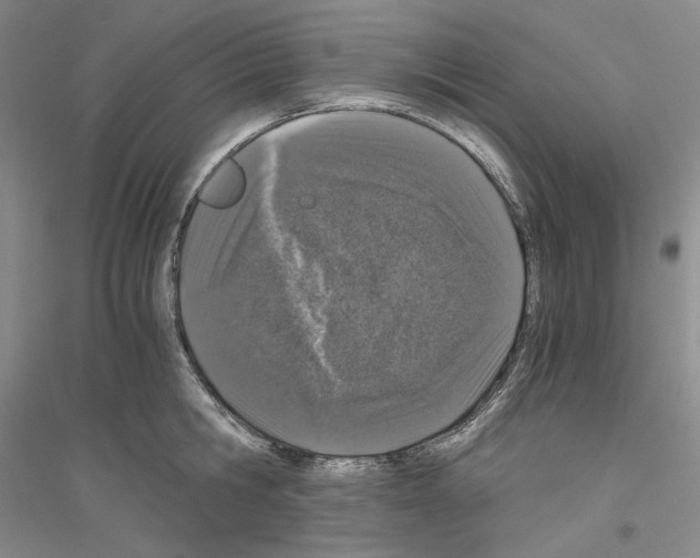 X0000116860806201002021105