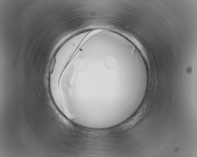 X0000116860807201002021105