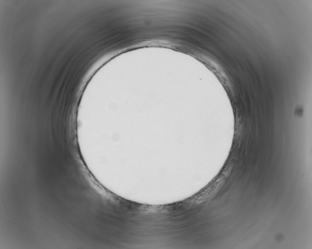 X0000116860808201002021105