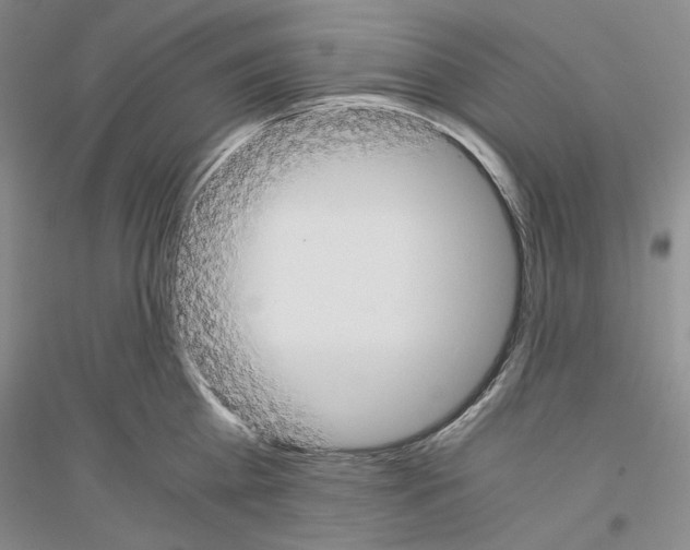 X0000116860809201002021105