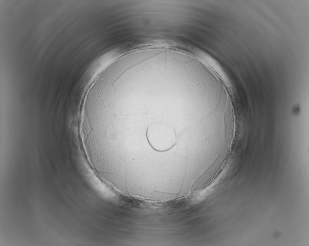 X0000116860810201002021105