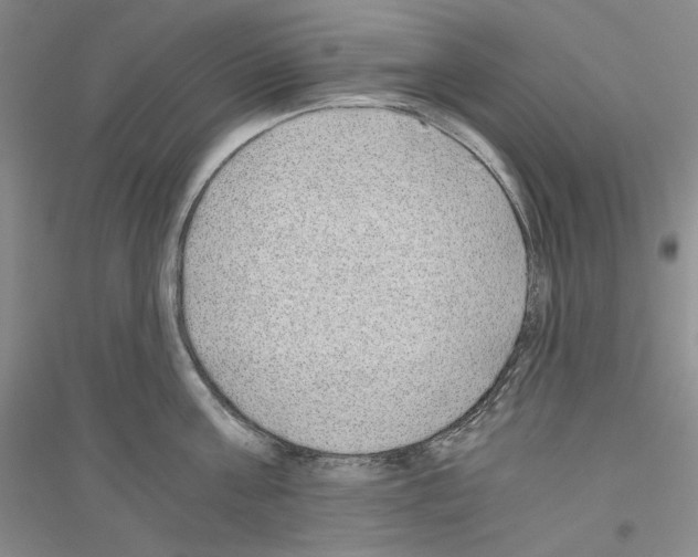 X0000116860811201002021105