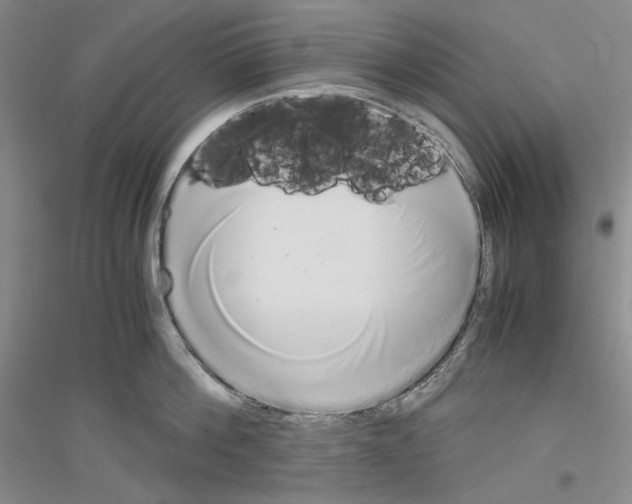 X0000116860812201002021105