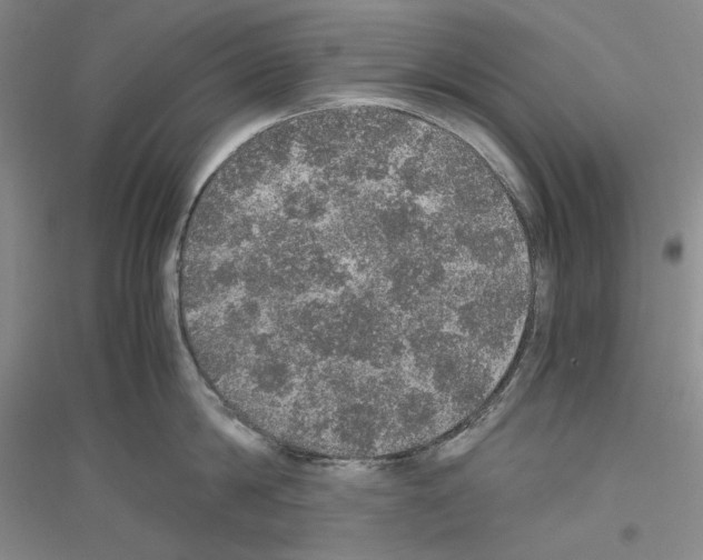 X0000116860814201002021105