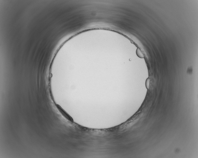 X0000116860815201002021105