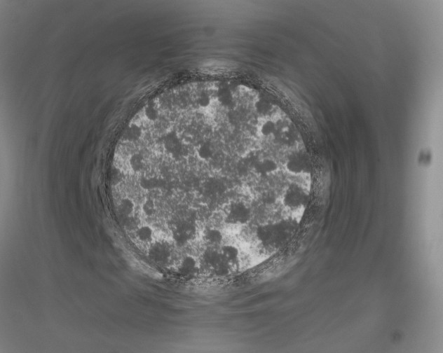 X0000116860817201002021104