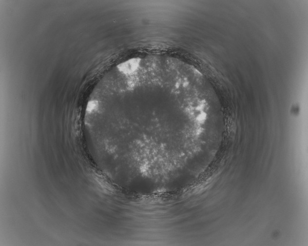 X0000116860818201002021104