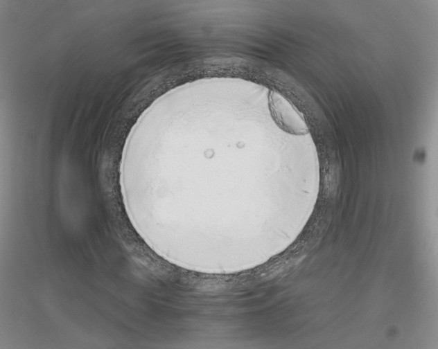 X0000116860819201002021104