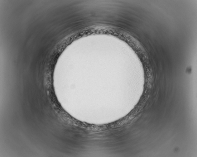 X0000116860821201002021104