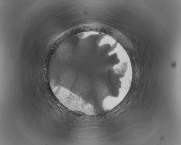 X0000116860822201002021104