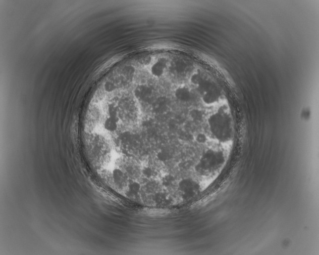 X0000116860825201002021104