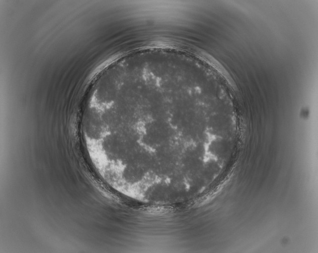 X0000116860826201002021104