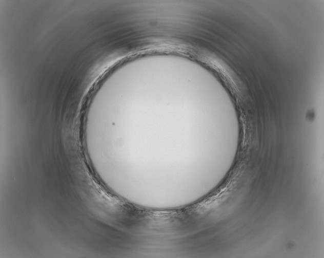 X0000116860828201002021104