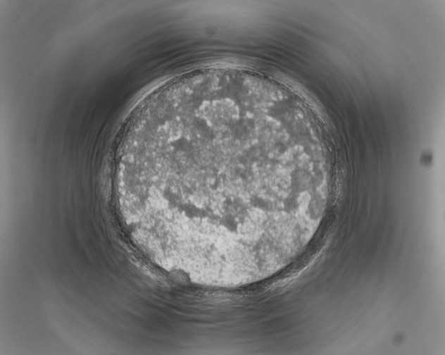 X0000116860829201002021104