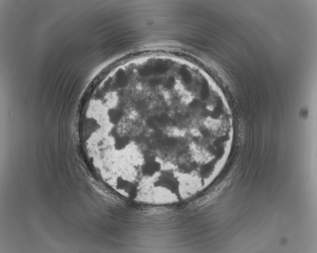 X0000116860830201002021104