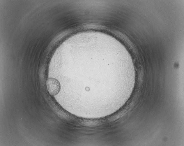 X0000116860831201002021104