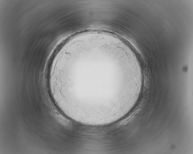 X0000116860832201002021104