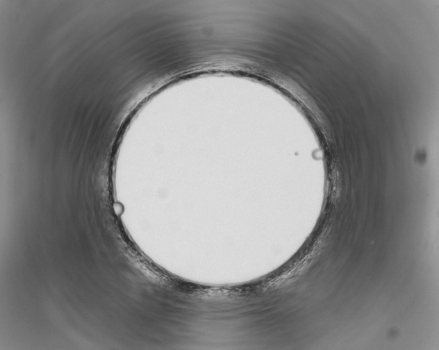 X0000116860834201002021104