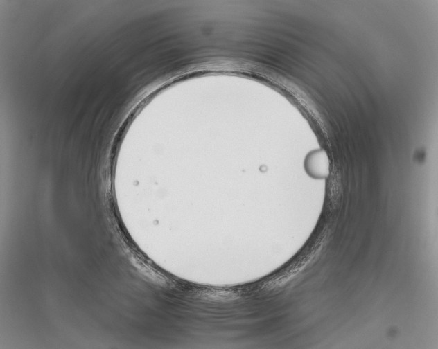 X0000116860837201002021104