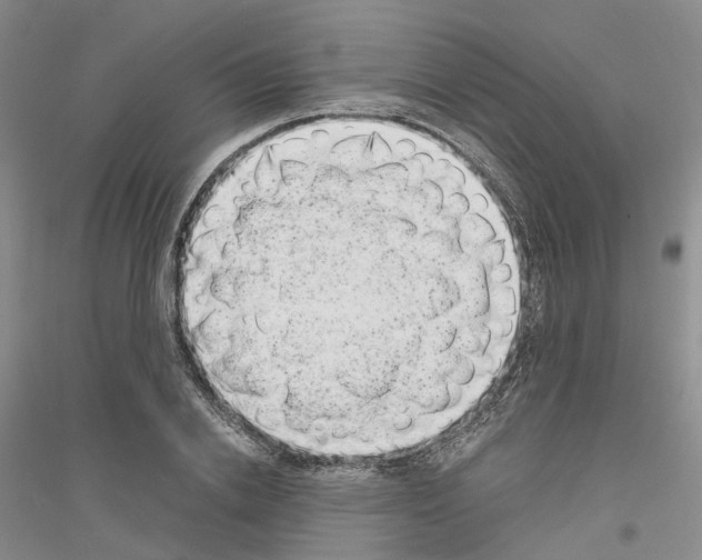 X0000116860838201002021104