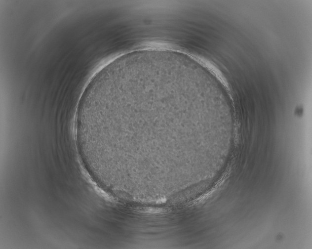 X0000116860839201002021104