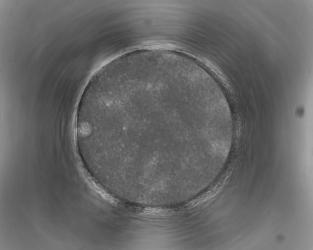 X0000116860840201002021104