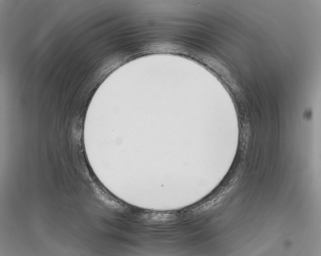 X0000116860841201002021104