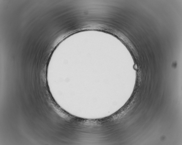 X0000116860842201002021104