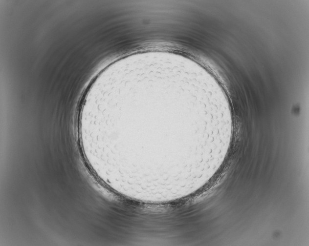 X0000116860843201002021104