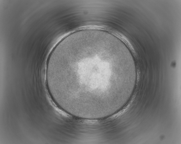 X0000116860844201002021104