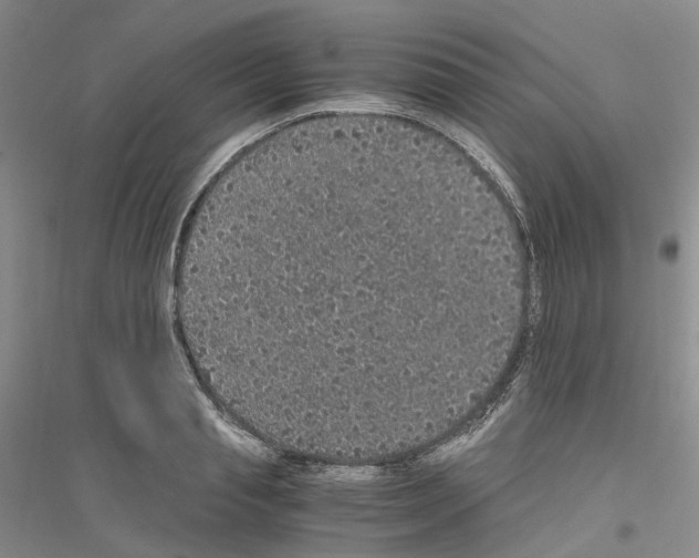 X0000116860845201002021104