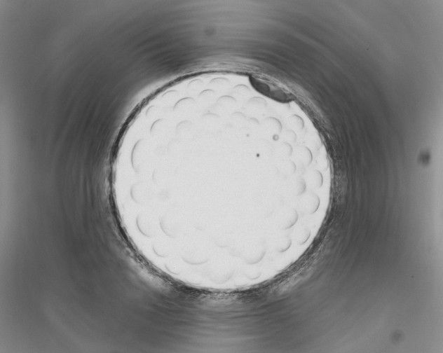 X0000116860846201002021105