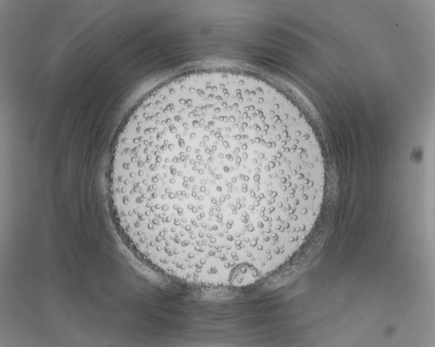 X0000116860847201002021105