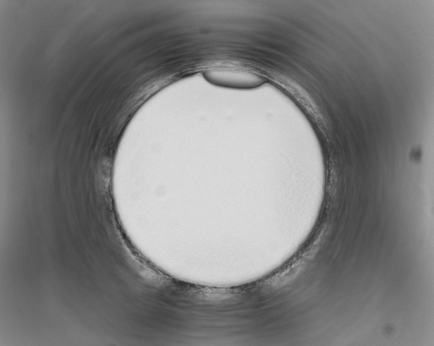 X0000116860849201002021105