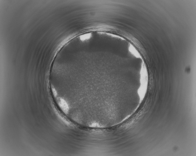 X0000116860850201002021105