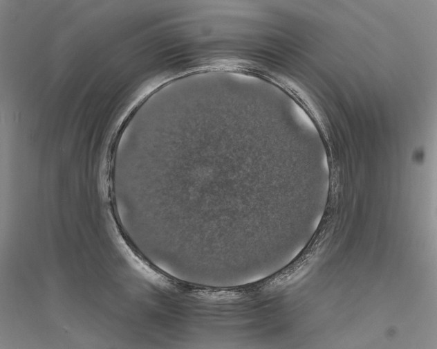 X0000116860851201002021105