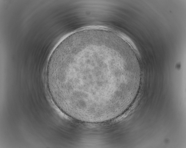 X0000116860852201002021105