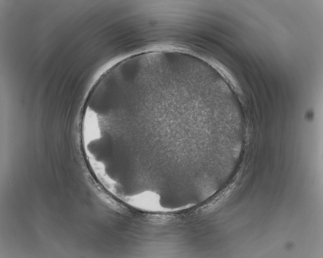 X0000116860854201002021105