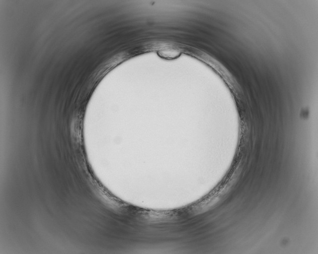 X0000116860857201002021105