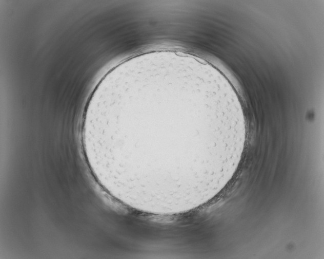 X0000116860861201002021105