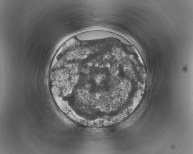 X0000116860862201002021105