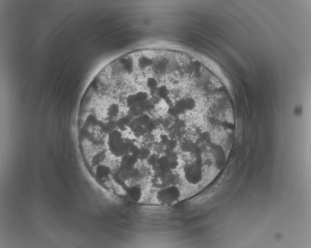 X0000116860863201002021105