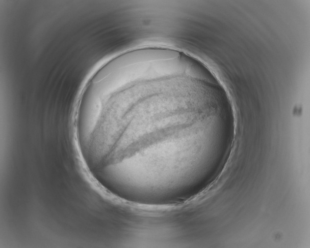 X0000116860864201002021105