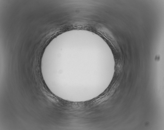 X0000116860865201002021104