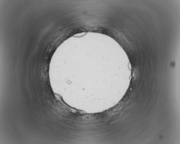 X0000116860867201002021104