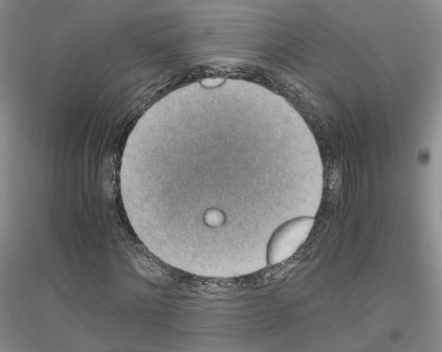 X0000116860868201002021104