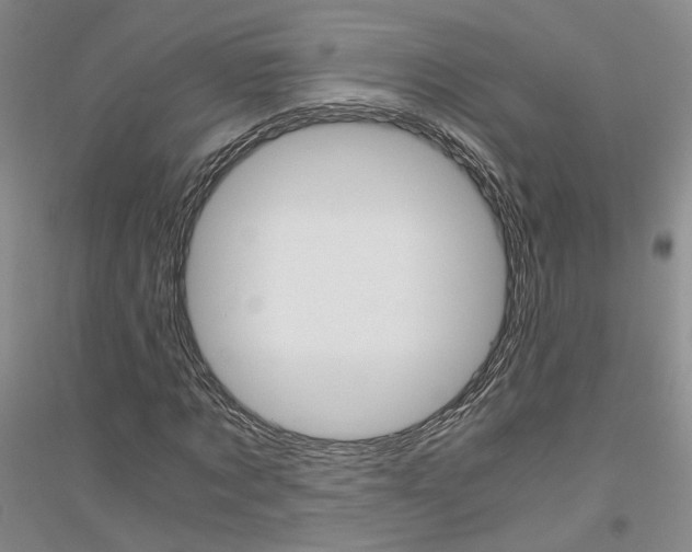 X0000116860869201002021104