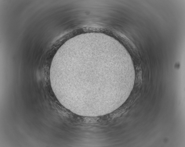 X0000116860870201002021104