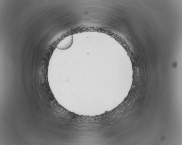 X0000116860871201002021104