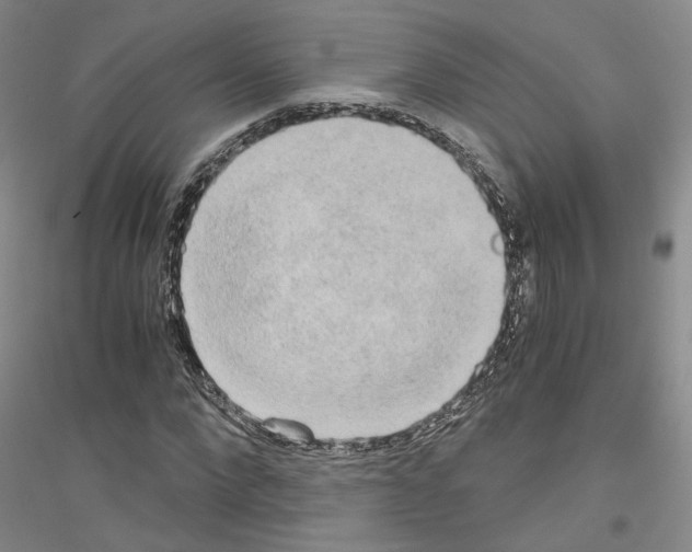 X0000116860872201002021104